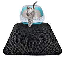 Load image into Gallery viewer, Litter Trap Mat - Pursuitful